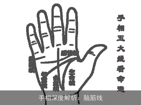 手相深度解析：脑筋线