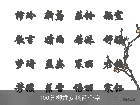 100分柳姓女孩两个字