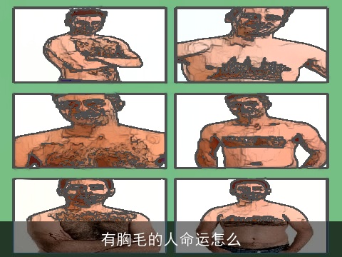 有胸毛的人命运怎么