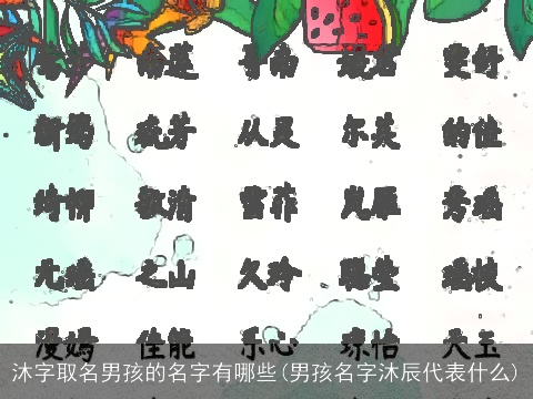 沐字取名男孩的名字有哪些(男孩名字沐辰代表什么)