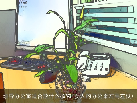 领导办公室适合放什么植物(女人的办公桌右高左低)