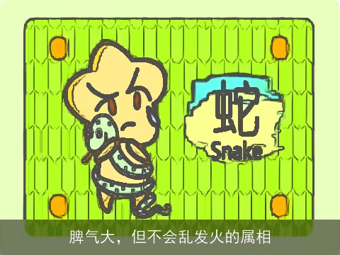 脾气大，但不会乱发火的属相