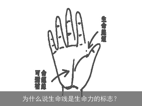 为什么说生命线是生命力的标志？