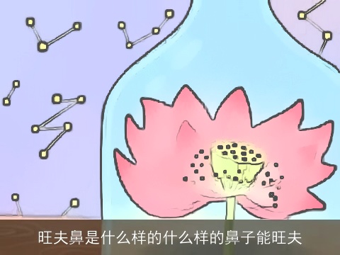 旺夫鼻是什么样的什么样的鼻子能旺夫