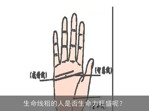 生命线粗的人是否生命力旺盛呢？