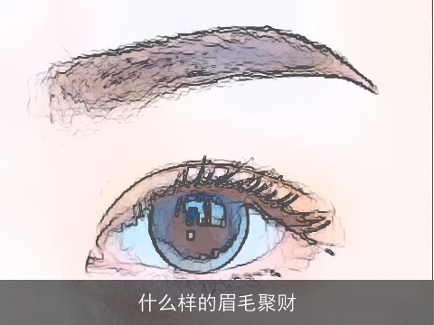 什么样的眉毛聚财