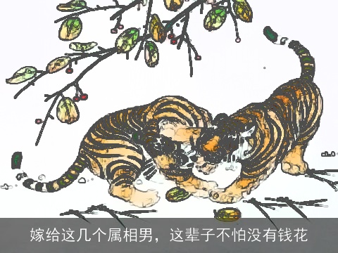 嫁给这几个属相男，这辈子不怕没有钱花