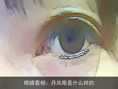 眼睛看相：丹凤眼是什么样的