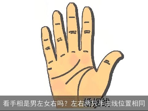 看手相是男左女右吗？左右两只手主线位置相同