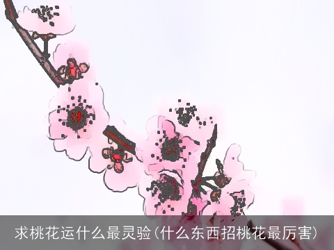 求桃花运什么最灵验(什么东西招桃花最厉害)