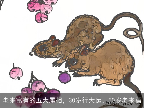 老来富有的五大属相，30岁行大运，50岁老来福