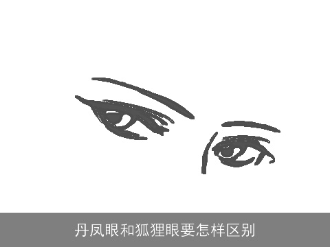 丹凤眼和狐狸眼要怎样区别