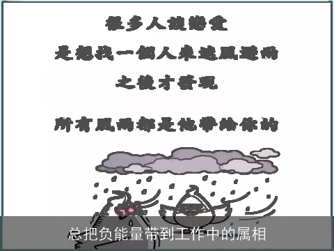 总把负能量带到工作中的属相