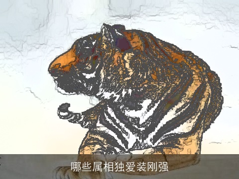 哪些属相独爱装刚强