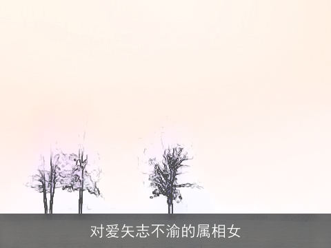 对爱矢志不渝的属相女