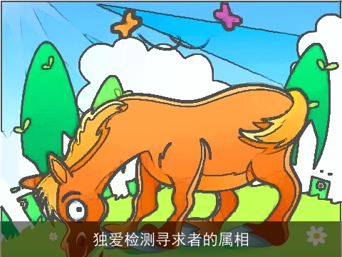 独爱检测寻求者的属相