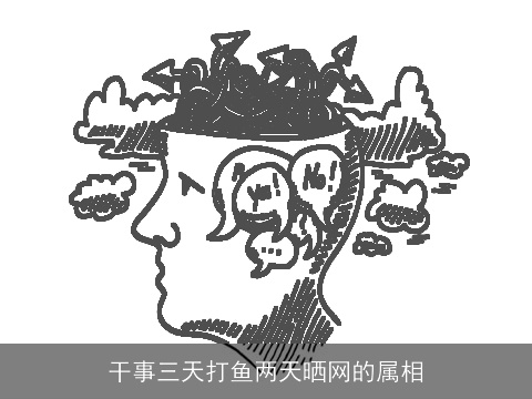 干事三天打鱼两天晒网的属相