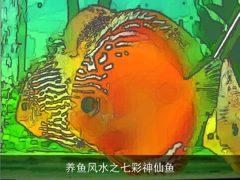 养鱼风水之七彩神仙鱼