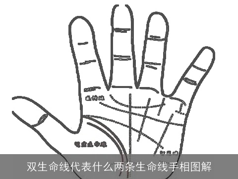 双生命线代表什么两条生命线手相图解