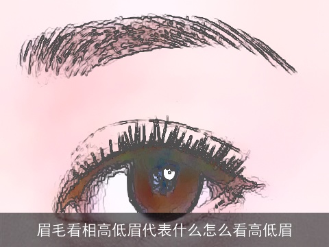 眉毛看相高低眉代表什么怎么看高低眉