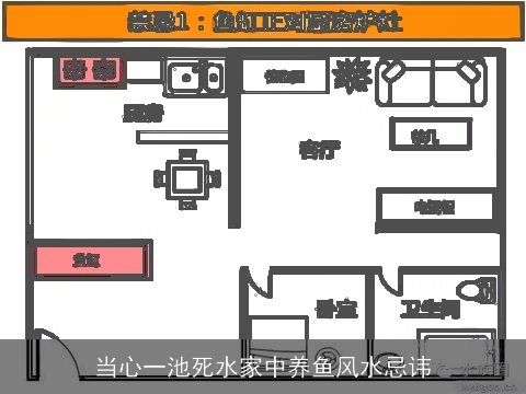 当心一池死水家中养鱼风水忌讳