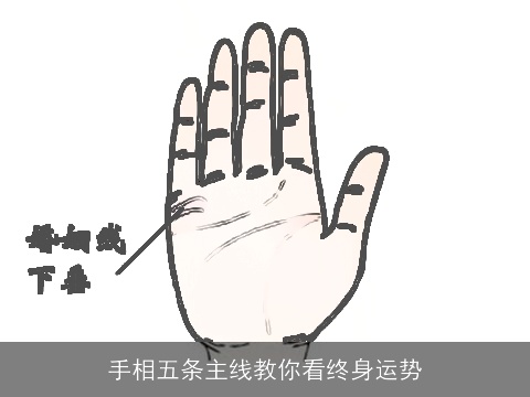 手相五条主线教你看终身运势