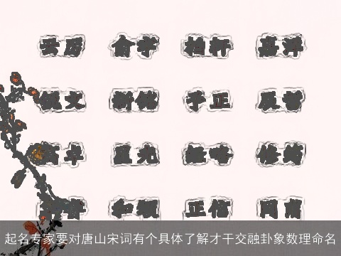 起名专家要对唐山宋词有个具体了解才干交融卦象数理命名