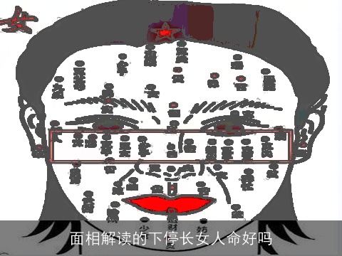 面相解读的下停长女人命好吗
