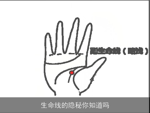 生命线的隐秘你知道吗