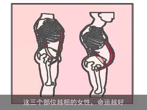 这三个部位越粗的女性，命运越好
