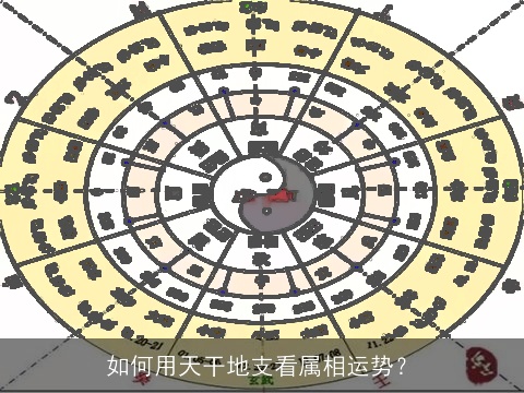 如何用天干地支看属相运势？