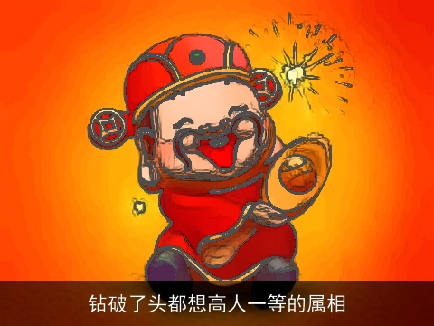 钻破了头都想高人一等的属相