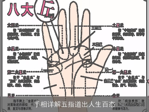手相详解五指道出人生百态