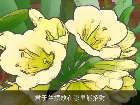 君子兰摆放在哪里能招财