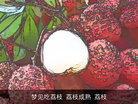 梦见吃荔枝 荔枝成熟 荔枝