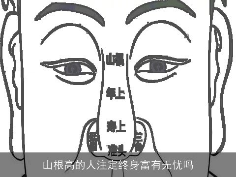 山根高的人注定终身富有无忧吗