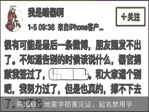 陈泓畯：地雷字损害见证、起名禁用字