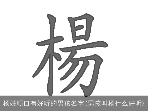 杨姓顺口有好听的男孩名字(男孩叫杨什么好听)