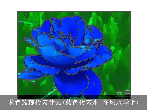 蓝色玫瑰代表什么(蓝色代表水 在风水学上)