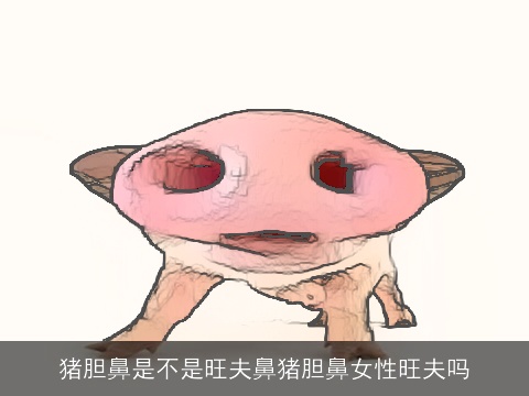 猪胆鼻是不是旺夫鼻猪胆鼻女性旺夫吗