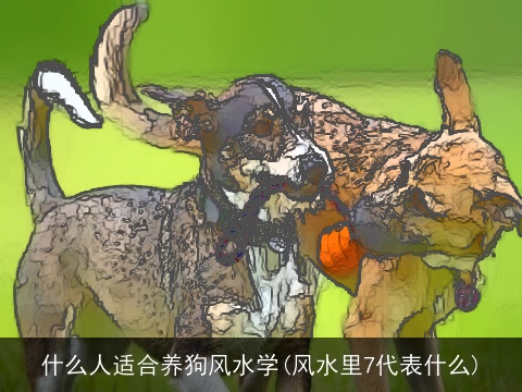 什么人适合养狗风水学(风水里7代表什么)