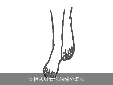 体相从脚看你的缘分怎么