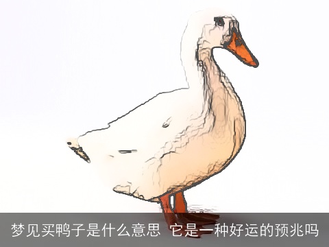 梦见买鸭子是什么意思 它是一种好运的预兆吗