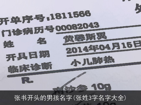 张书开头的男孩名字(张姓3字名字大全)