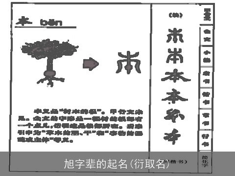旭字辈的起名(衍取名)