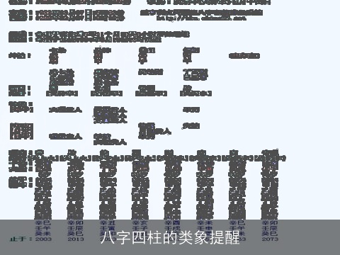 八字四柱的类象提醒