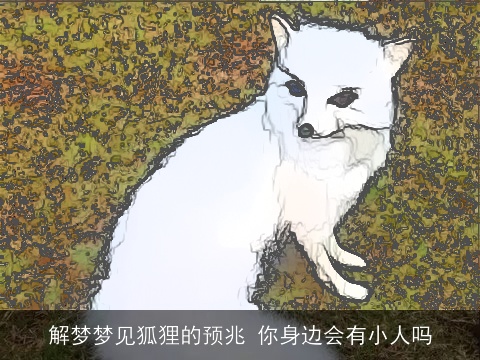 解梦梦见狐狸的预兆 你身边会有小人吗