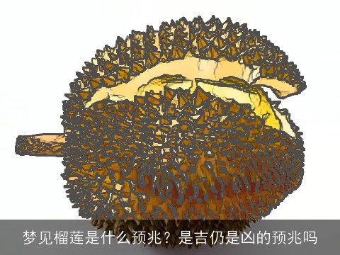 梦见榴莲是什么预兆？是吉仍是凶的预兆吗