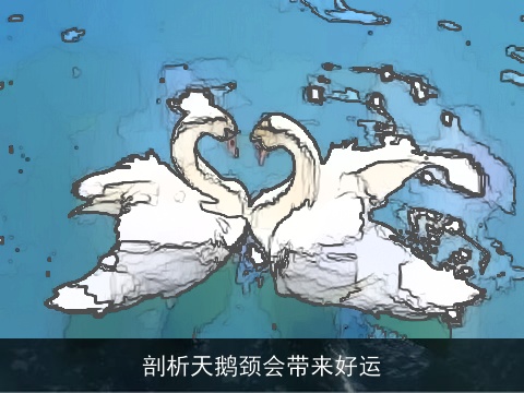 剖析天鹅颈会带来好运