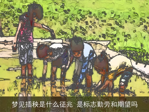 梦见插秧是什么征兆 是标志勤劳和期望吗